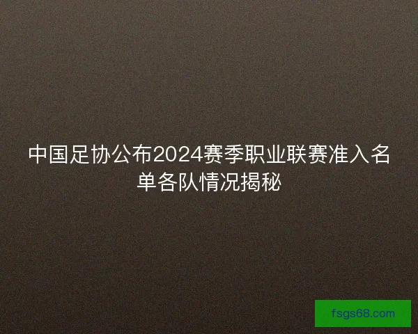 中国足协公布2024赛季职业联赛准入名单各队情况揭秘 中国足协公布2024赛季职业联赛准入名单各队情况揭秘
